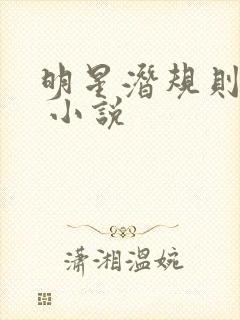 明星潜规则之皇 小说