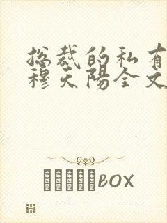 总裁的私有宝贝穆天阳全文阅读