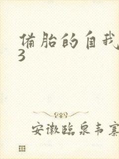 备胎的自我修养3