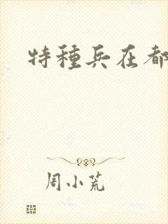 特种兵在都市