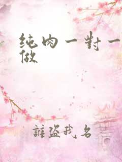 纯肉一对一到处做