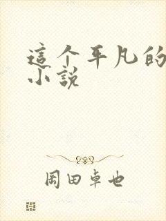 这个平凡的男子小说