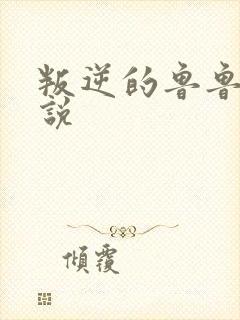 叛逆的鲁鲁修小说