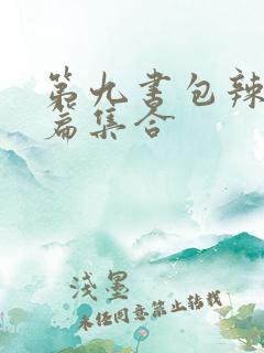 第九书包辣肉短篇集合