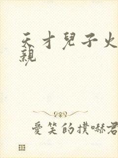 天才儿子火爆娘亲