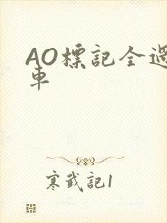 AO标记全过程车