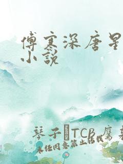 傅寒深唐星挽的小说