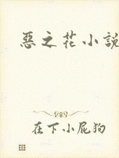 恶之花小说阮软