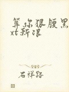 算你狠腹黑男txt新浪