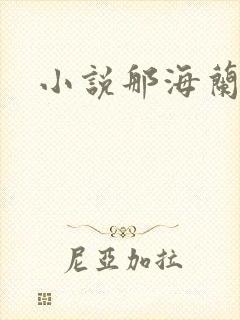 小说那海兰珠