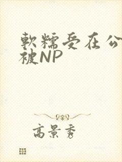 软糯受在公交车被NP