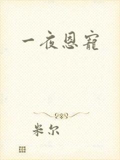 一夜恩宠