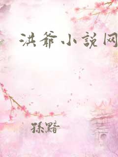 洪爷小说网