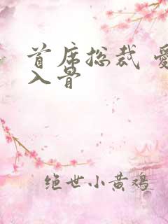 首席总裁 爱你入骨