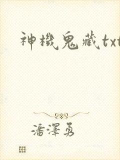 神机鬼藏txt