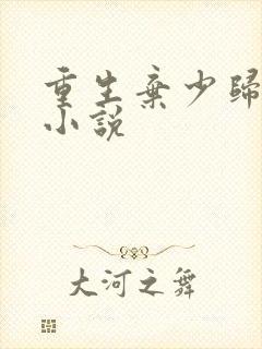 重生弃少归来 小说