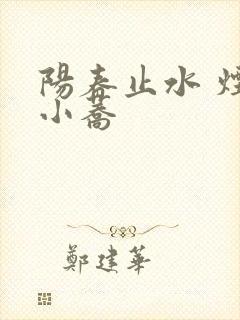 阳春止水 烟树小荞