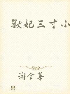 兽妃三寸小狂妻