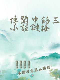 传闻中的三公主小说链接