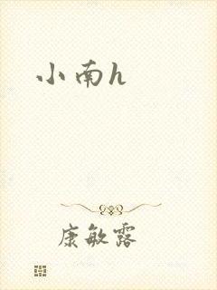 小南h
