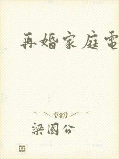 再婚家庭电视剧