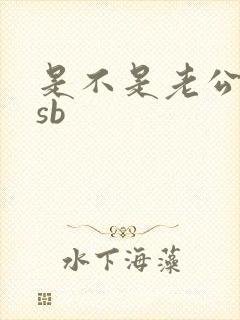 是不是老公的小sb