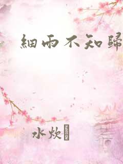 细雨不知归