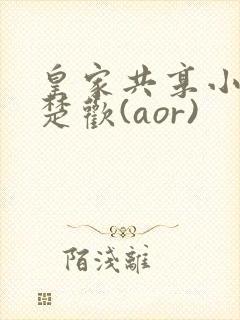 皇家共享小公主楚欢(aor)