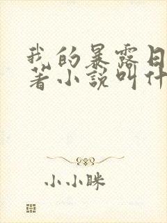 我的暴露日记原著小说叫什么