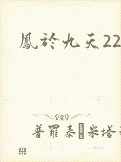 凤于九天22