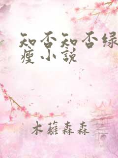知否知否绿肥红瘦小说