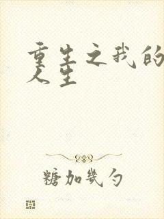 重生之我的抄袭人生