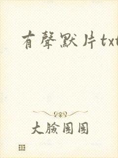 有声默片txt