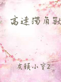 高达独角兽小说