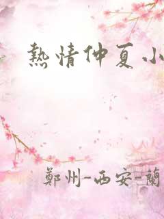 热情仲夏小说