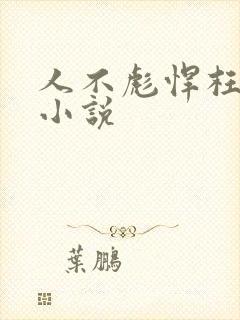人不彪悍枉少年小说