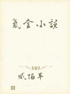 氪金小说