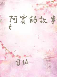 阿宾的故事txt