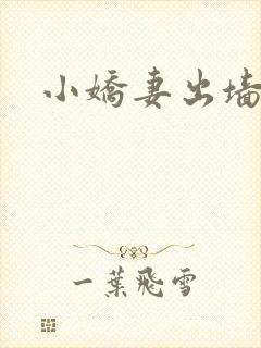 小娇妻出墙记