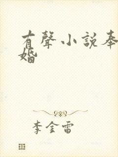 有声小说奉子成婚