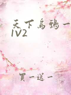 天下乌鸦一般黑1V2