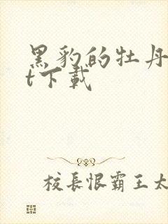 黑豹的牡丹txt下载