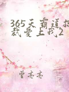 365天霸道总裁爱上我2