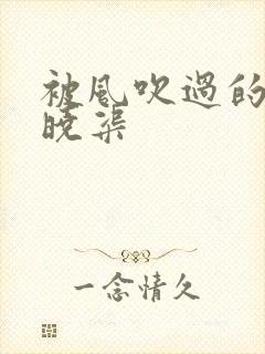 被风吹过的夏天晓渠