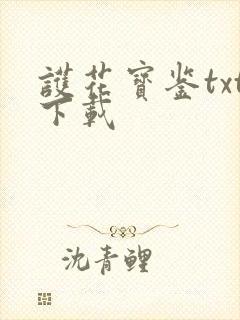 护花宝鉴txt下载