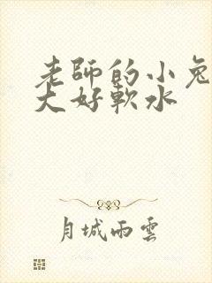 老师的小兔子好大好软水