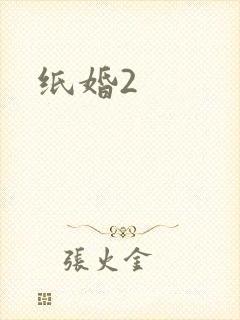 纸婚2