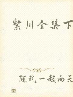 紫川全集下载