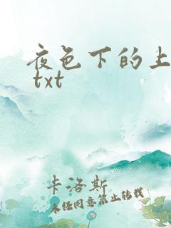 夜色下的上海滩 txt