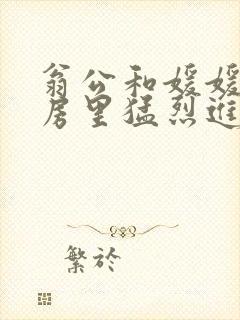 翁公和媛媛在厨房里猛烈进出